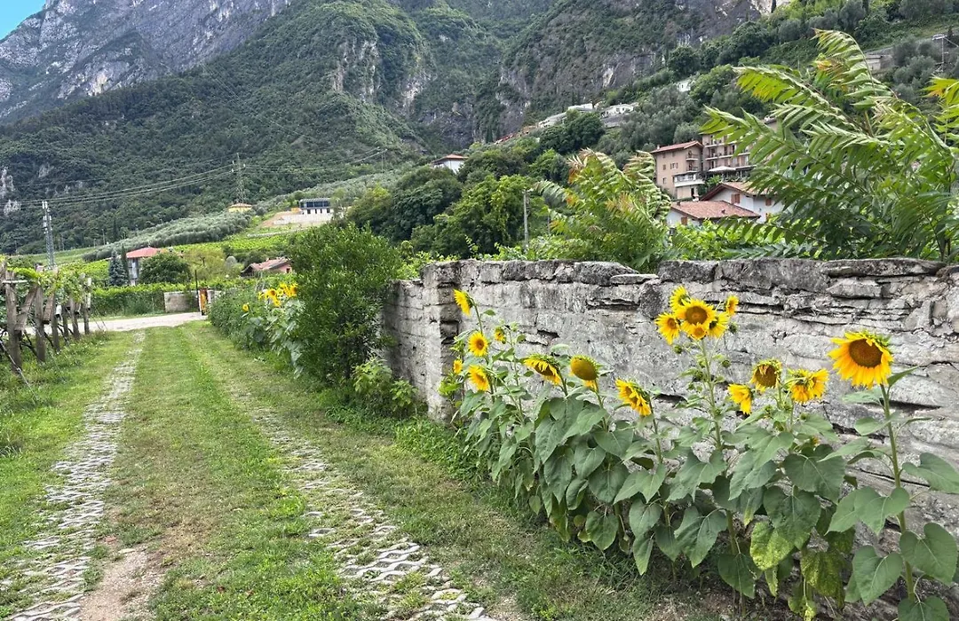 La Casa Nella Vigna-1