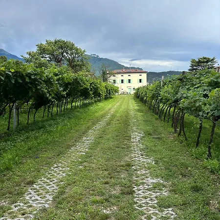 La Casa Nella Vigna-3